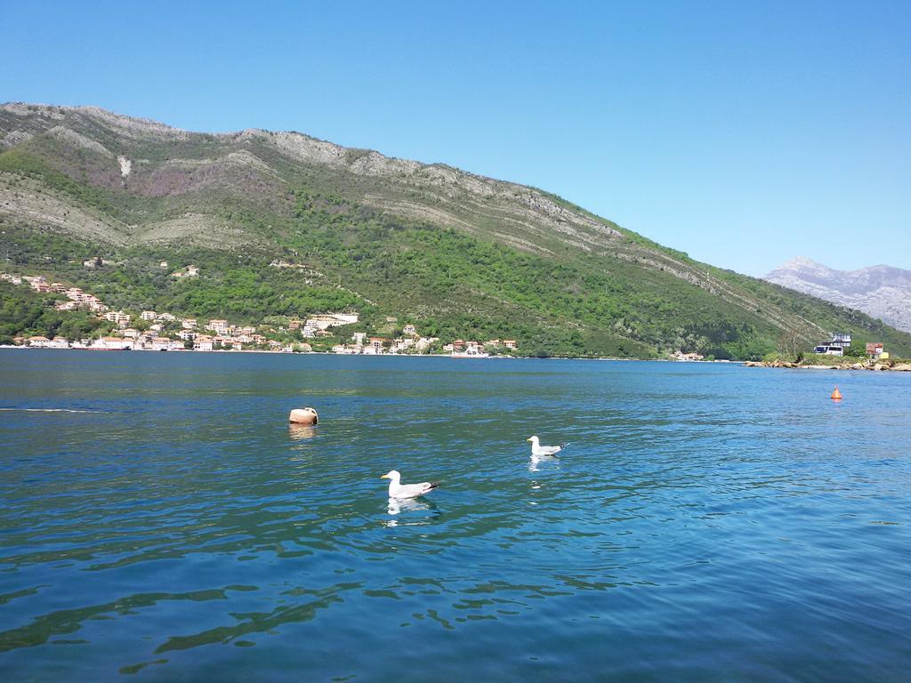 Apartmani Ivana Tivat Kültér fotó